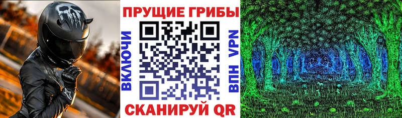 blacksprut маркетплейс  Хасавюрт  Псилоцибиновые грибы Magic Shrooms  где купить наркотик 