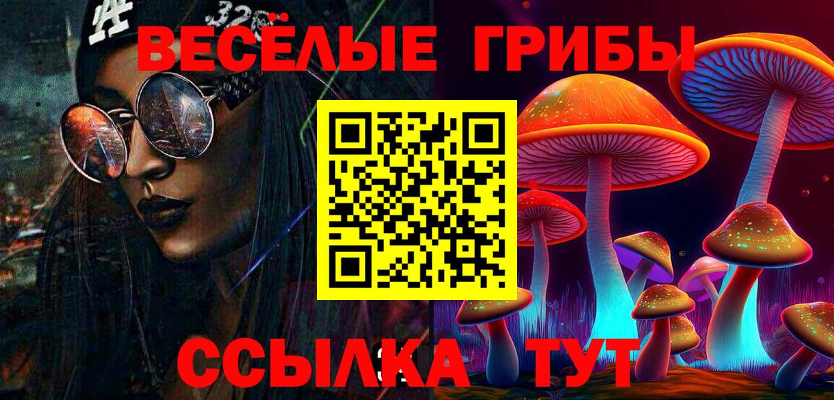 Галлюциногенные грибы Psilocybine cubensis Хасавюрт