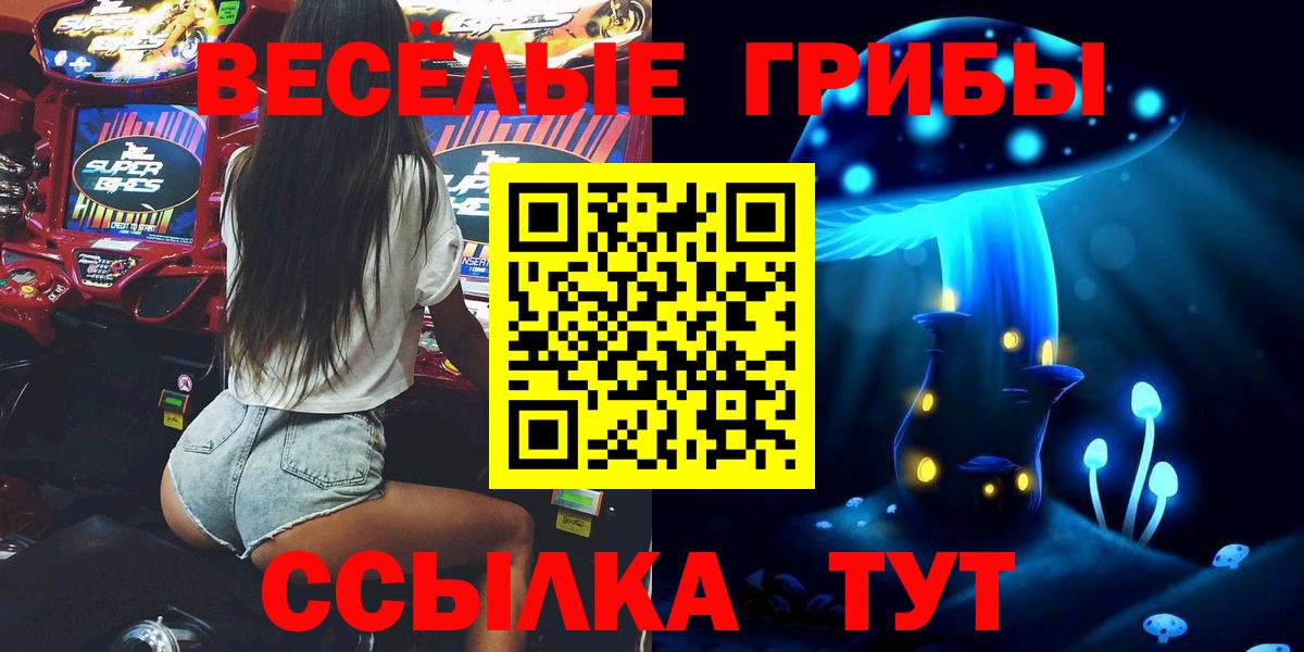 Хасавюрт  Галлюциногенные грибы мицелий  Вход с VPN 