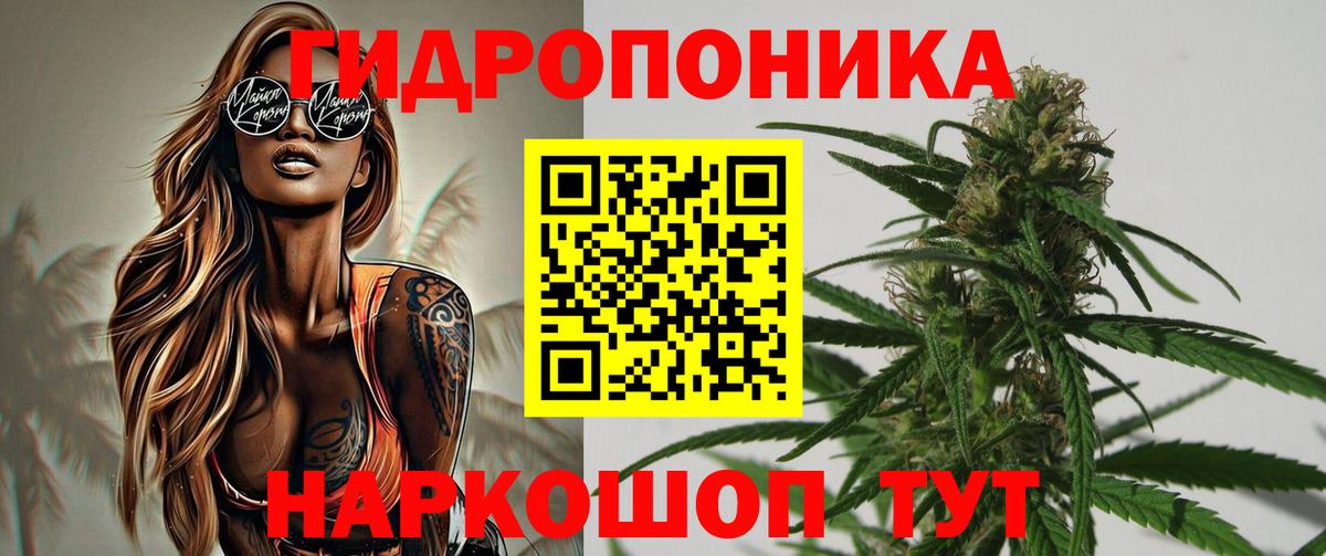 Шишки марихуана гибрид  Шишки марихуана VHQ  Хасавюрт  Вход с VPN 